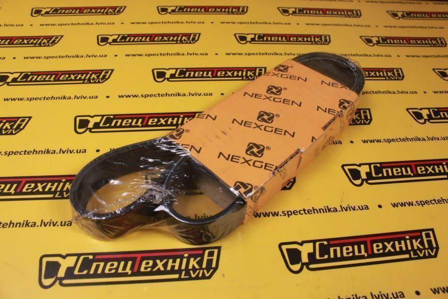 Ремінь поліклиновий JCB JS (02/802236 8PK1155) - Nexgen
