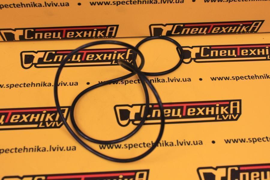 Уплотнительное кольцо Carraro (028579)